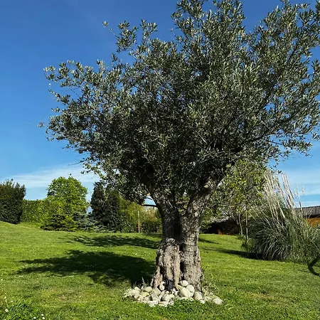 Domaine Horizon Feriehus